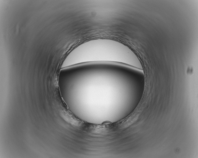 X0000092090384200709121131