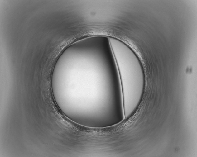 X0000092090385200709121130