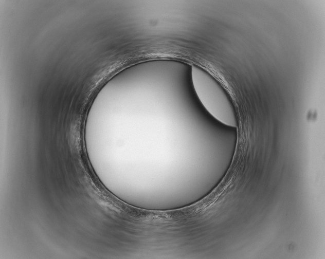 X0000092090386200709121130