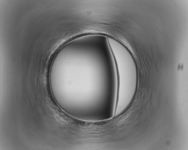 X0000092090387200709121130