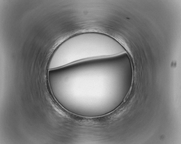 X0000092090389200709121130