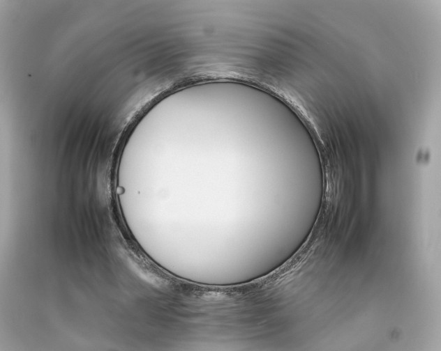 X0000092090390200709121130