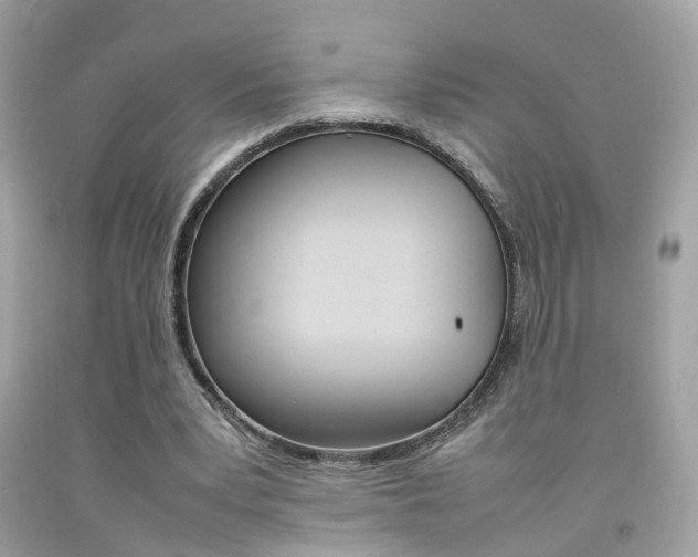 X0000092090391200709121130