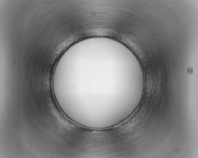 X0000092090394200709121130
