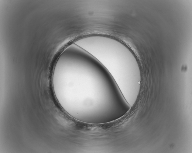 X0000092090395200709121130