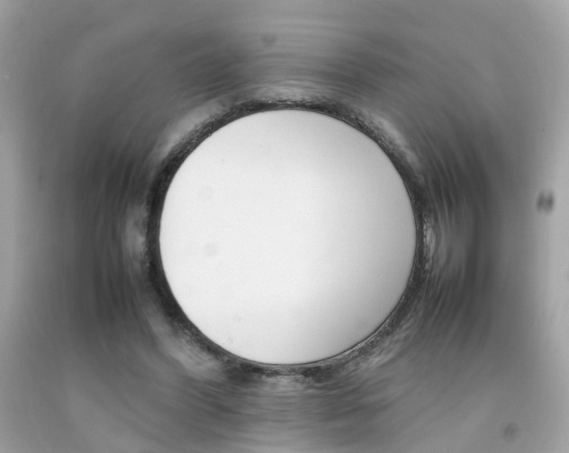 X0000092090396200709121130