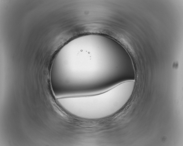 X0000092090397200709121130