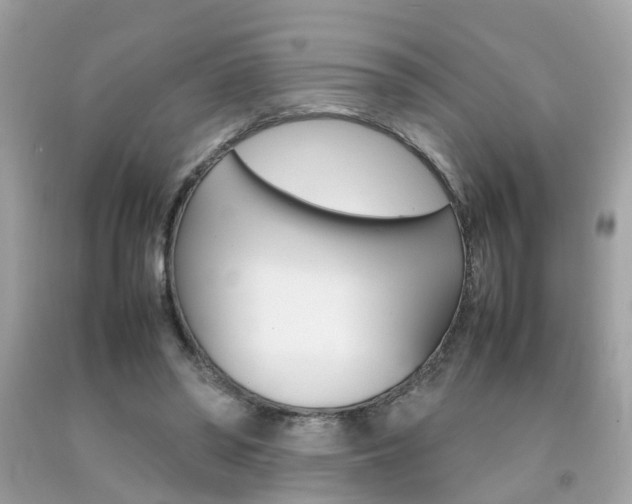 X0000092090398200709121130