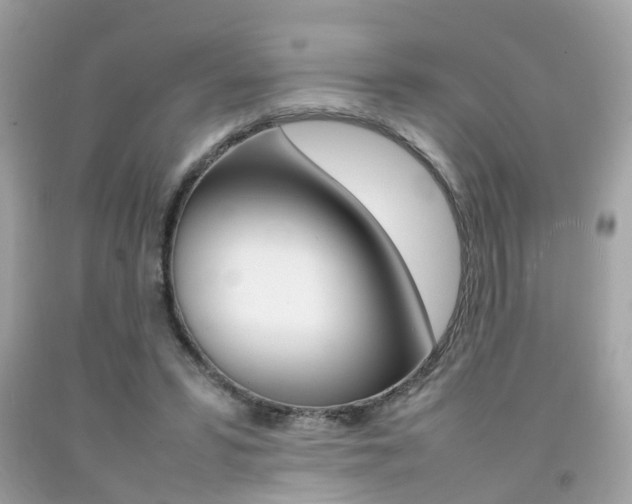X0000092090399200709121130