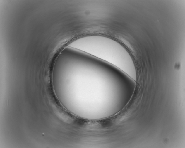 X0000092090403200709121130