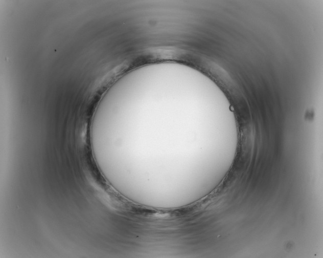 X0000092090406200709121130