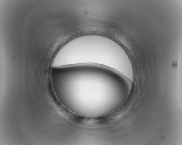 X0000092090407200709121130