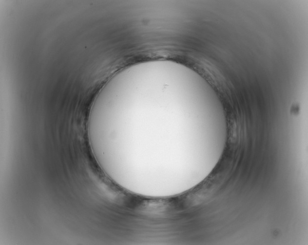 X0000092090414200709121130