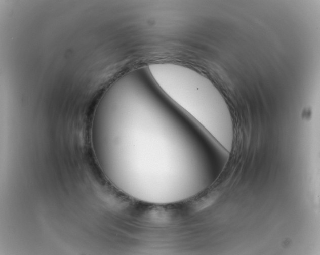 X0000092090416200709121130