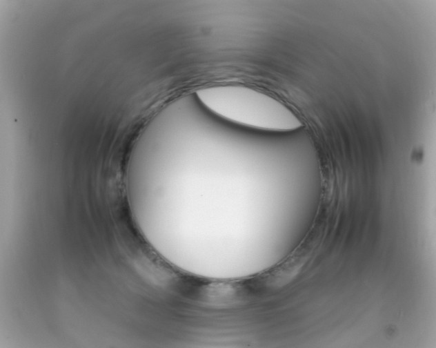 X0000092090418200709121130