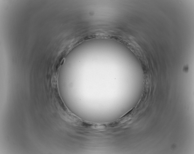 X0000092090419200709121130