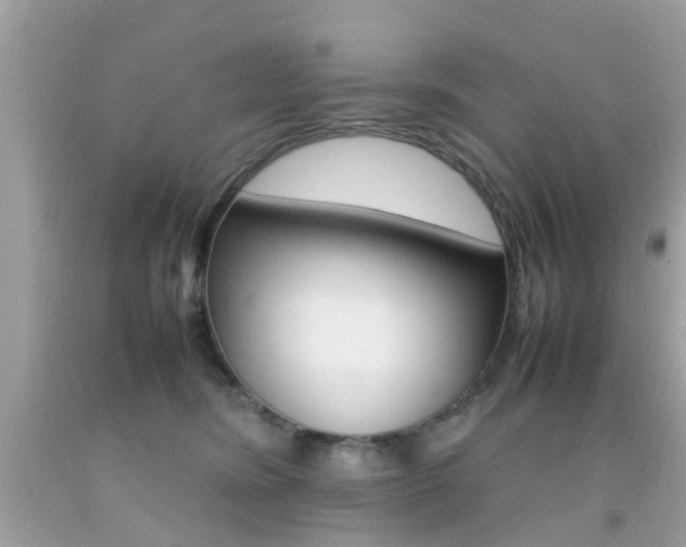 X0000092090420200709121130