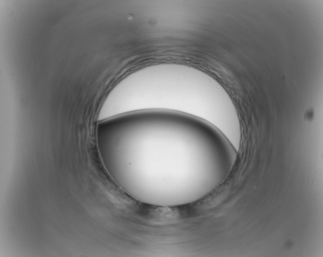 X0000092090421200709121130