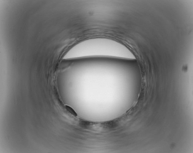 X0000092090423200709121130