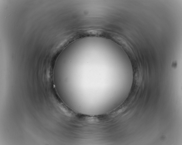 X0000092090424200709121130