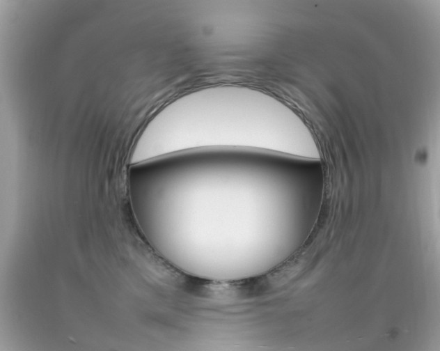 X0000092090425200709121130