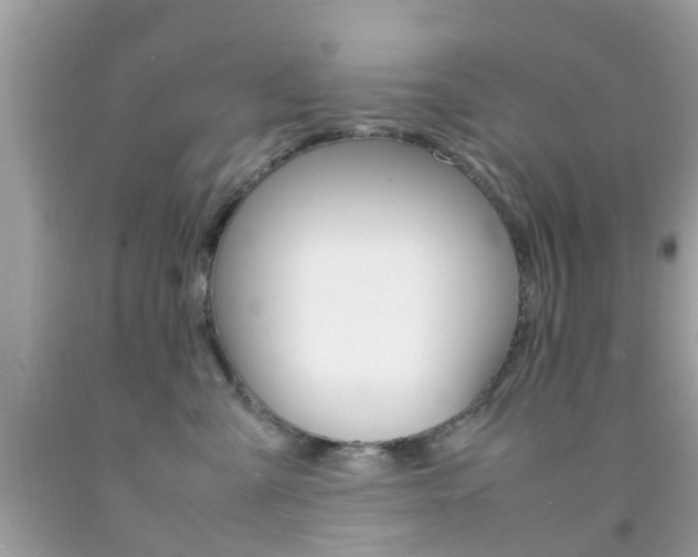 X0000092090427200709121129