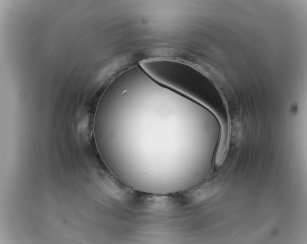 X0000092090428200709121129