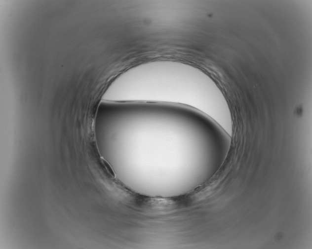 X0000092090429200709121129