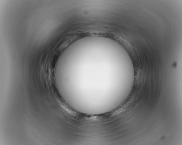 X0000092090430200709121129