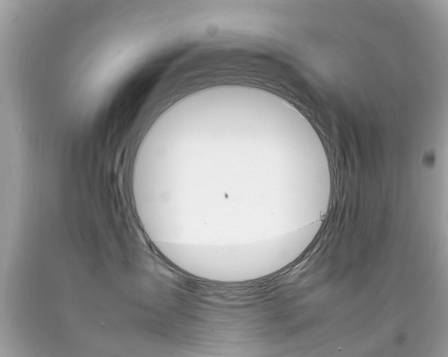 X0000092090431200709121129