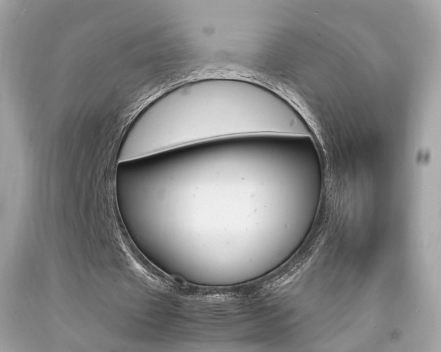 X0000092090433200709121129