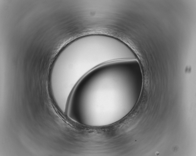 X0000092090434200709121129