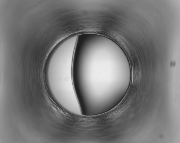 X0000092090435200709121129