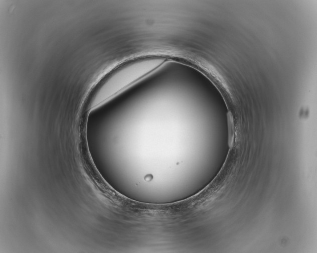 X0000092090436200709121129