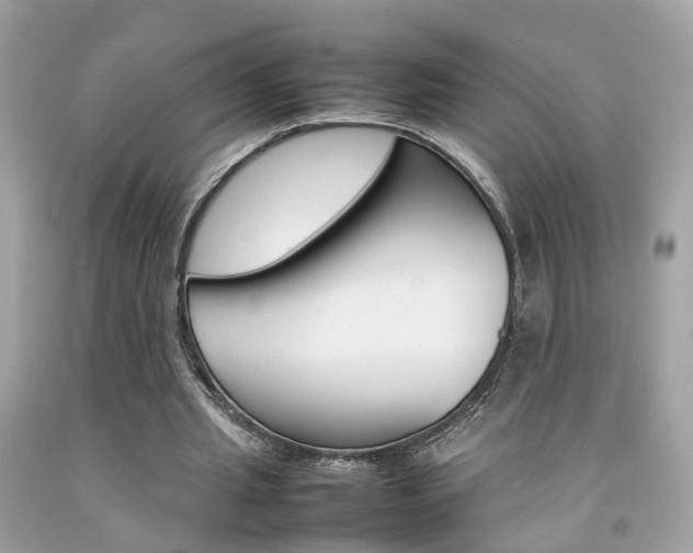 X0000092090437200709121129