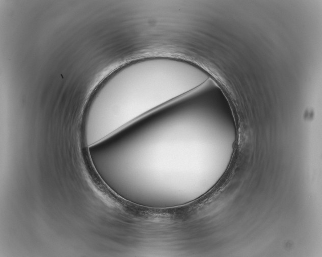 X0000092090438200709121129