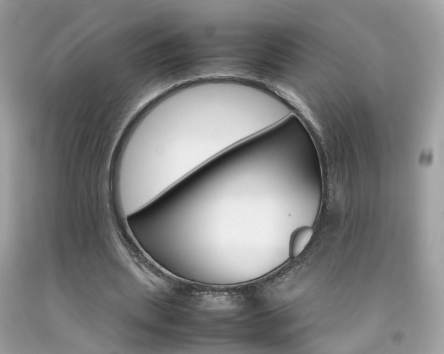 X0000092090439200709121129