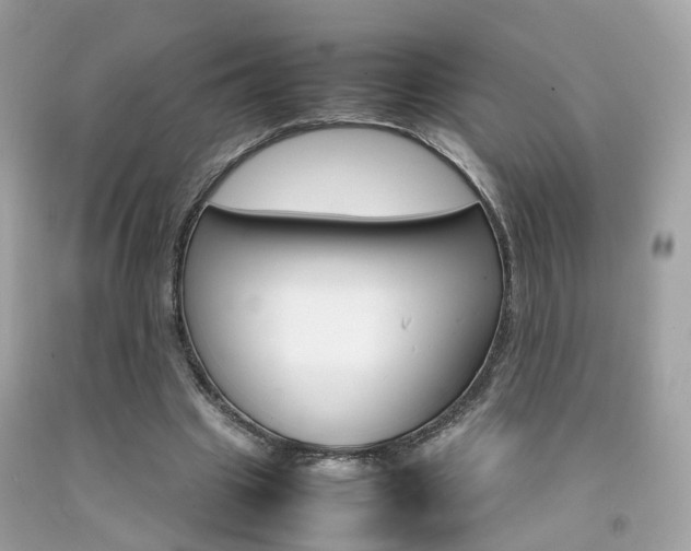 X0000092090441200709121129