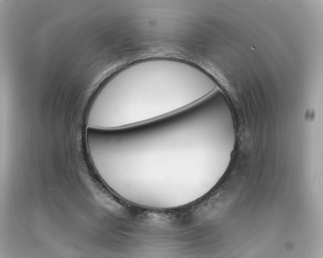 X0000092090442200709121129