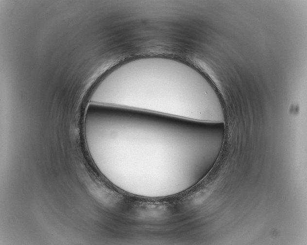 X0000092090443200709121129