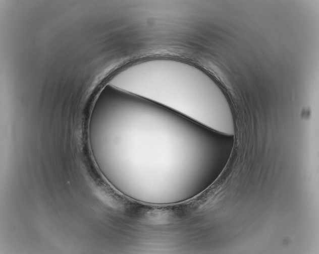X0000092090444200709121129