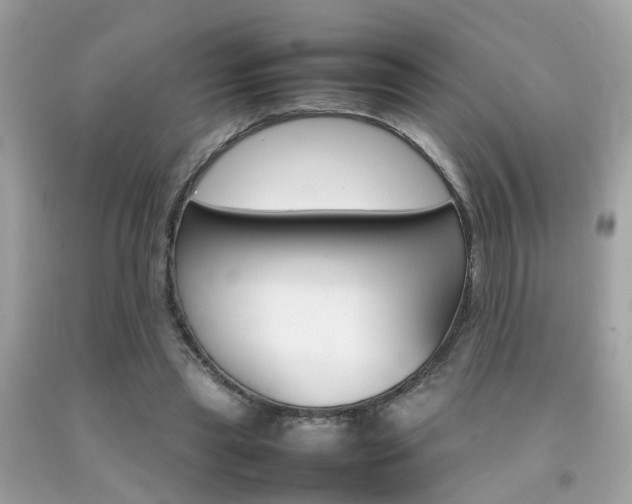X0000092090445200709121129
