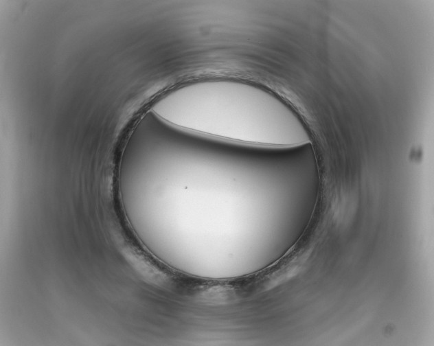 X0000092090446200709121129