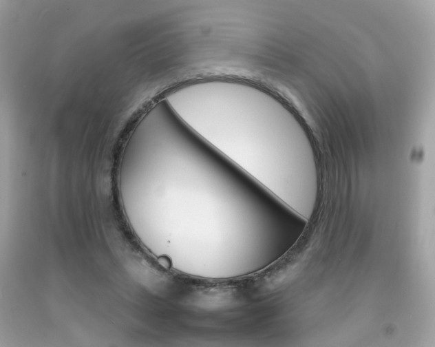 X0000092090447200709121129