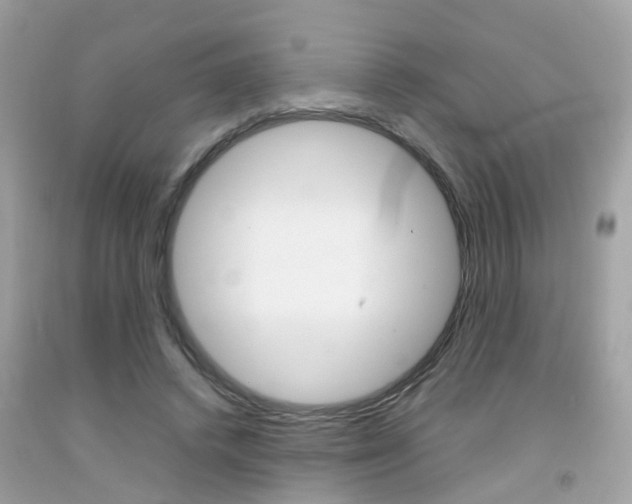 X0000092090448200709121129