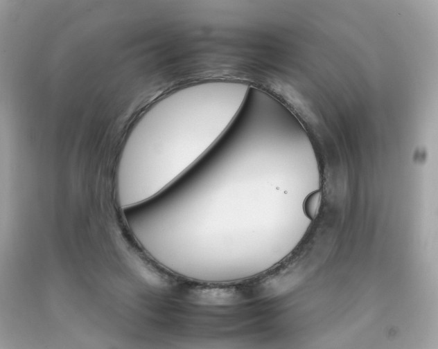 X0000092090449200709121129
