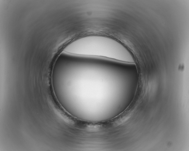 X0000092090450200709121129