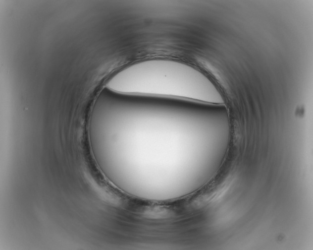 X0000092090451200709121129