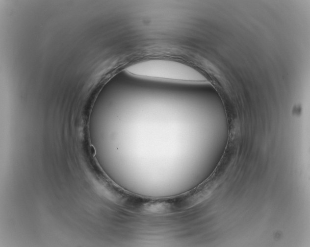 X0000092090452200709121129