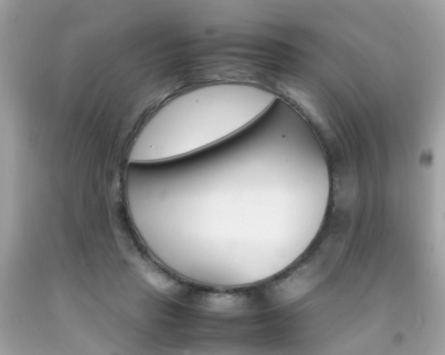 X0000092090453200709121129
